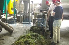 皇竹草烘干機(jī)價(jià)格,設(shè)備原理是什么？